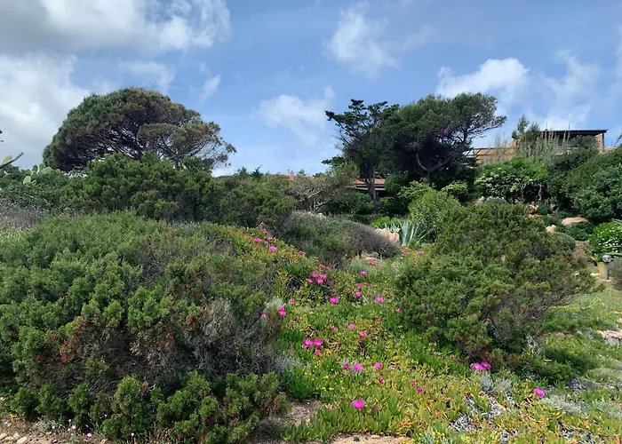 Giulianahouse Apartament *